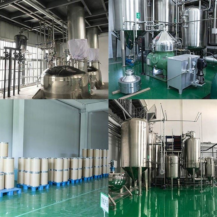 Wild Yam Root Powder factory